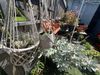 I wish I had more anchor points for hanging macrame, looks so cool!