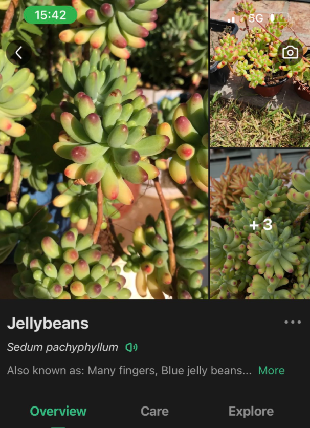 Screenshot 2025-04-16 155958.png