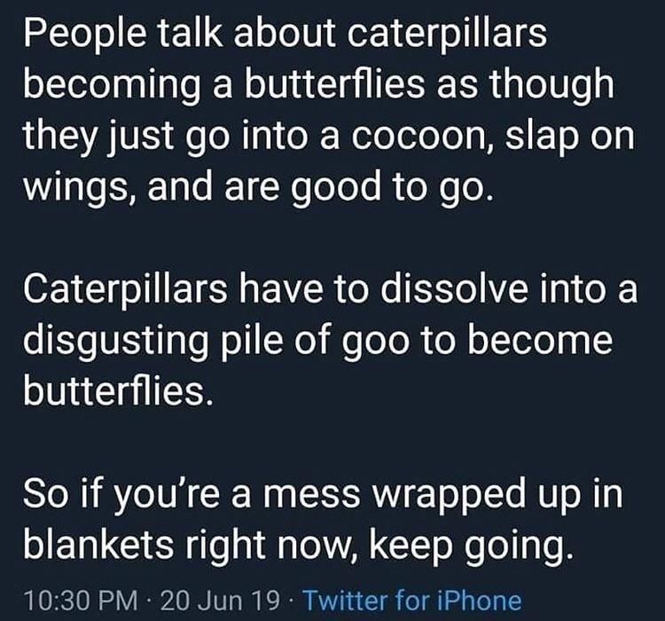 Butterfly goo.jpeg