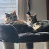 Trixie (left) and Razz (right)!!